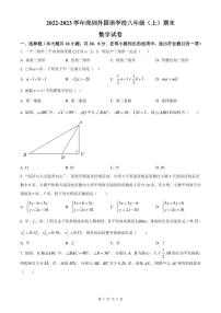 2022-2023深圳外国语八年级（上）期末数学试卷