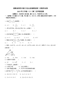 湖南省邵阳市新宁县水庙镇联校2023-2024学年八年级上学期第二次月考数学试题(无答案)