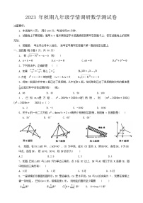 河南省南阳市社旗县2023-2024学年九年级上学期12月学情调研数学试题