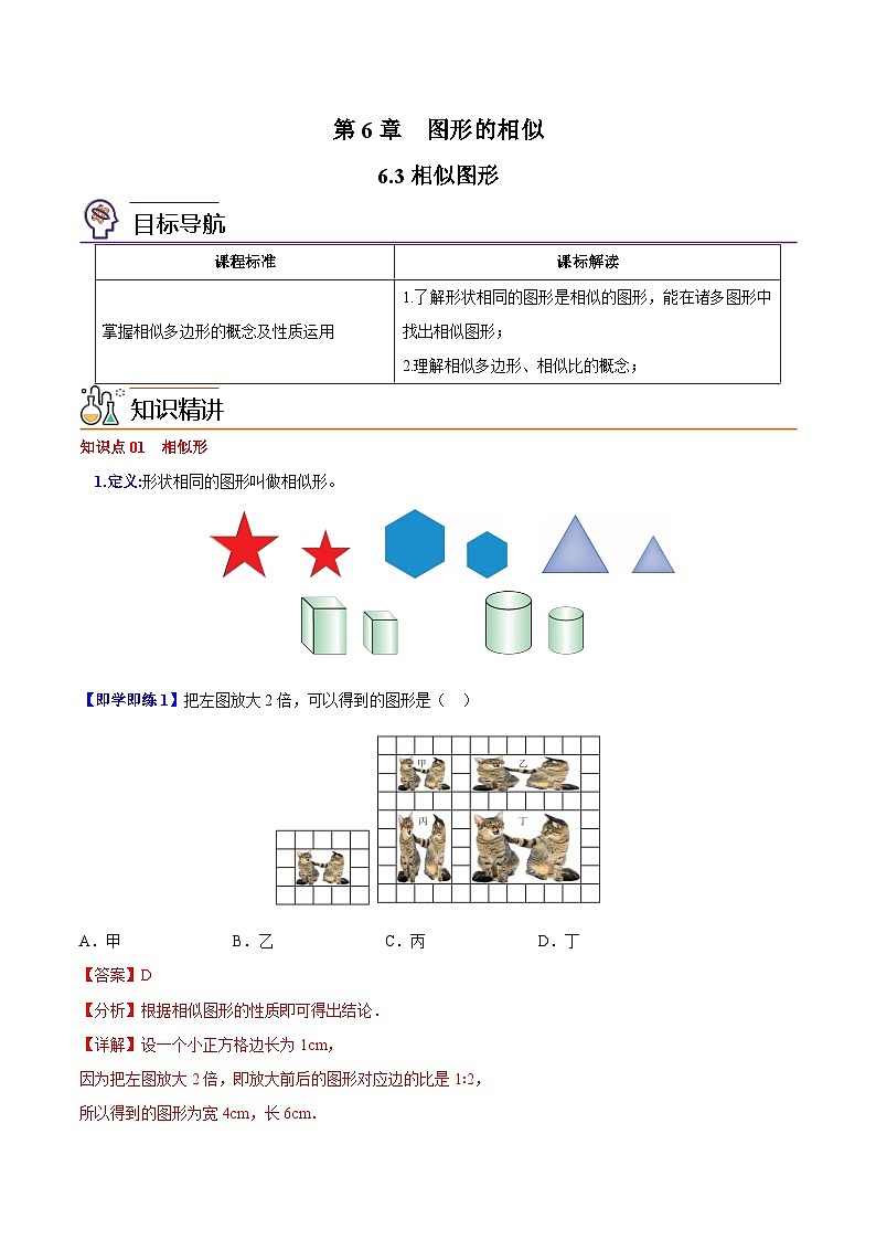 苏教版九年级数学下册同步精品讲义 第08讲 相似图形（学生版+解析版）01