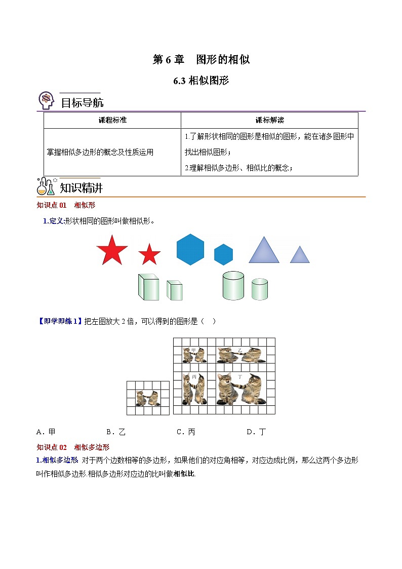 苏教版九年级数学下册同步精品讲义 第08讲 相似图形（学生版+解析版）01