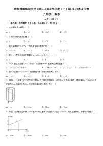 2023-2024学年四川省成都市青羊区树德实验中学八年级上册12月月考数学试题（含解析）