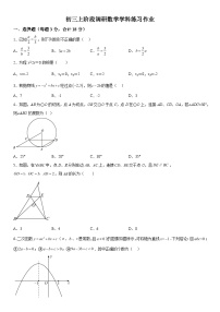 2023-2024学年江苏省南京市江宁区南京师范大学附属中学江宁分校九年级上册12月月考数学试题（含解析）