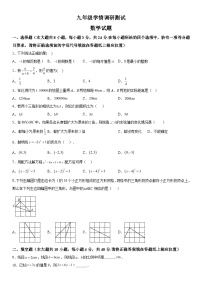 2023-2024学年江苏省徐州市沛县九年级上册12月月考数学试题（含解析）