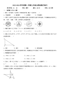 2023-2024学年湖北省武汉光谷未来学校九年级上册月考数学试题（含解析）