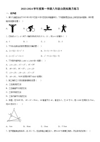 2023-2024学年湖北省武汉光谷未来学校八年级上册月考数学试题（含解析）