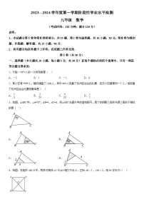 2023-2024学年山东省青岛市黄岛区九年级上册期中数学试题（含解析）