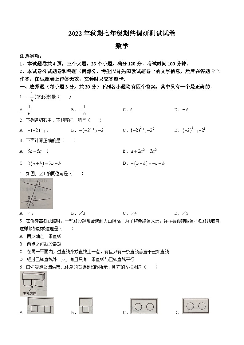 河南省南阳市卧龙区2022-2023学年上学期七年级期末数学试题01