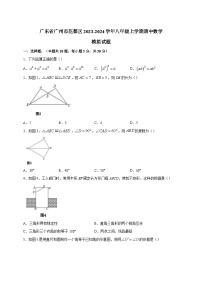 广东省广州市花都区2023-2024学年八年级上学期期中数学模拟试题（含答案）