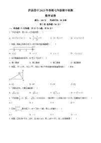 四川省泸州市泸县泸县第四中学2022-2023学年七年级下学期期中数学试题