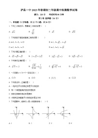 四川省泸州市泸县泸县第一中学2022-2023学年八年级下学期期中数学试题