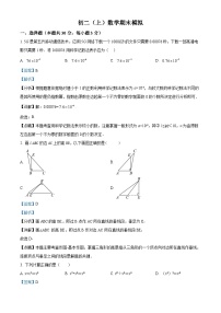 精品解析：北京市海淀区人大附中翠微分校2022--2023学年八年级上学期数学期末模拟试卷（解析版）