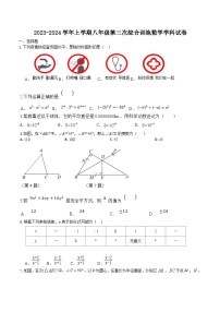 福建省莆田市城厢区莆田哲理中学2023-2024学年八年级上学期12月月考数学试题