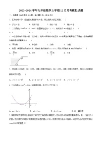 江苏省苏州市2023-2024学年九年级数学上学期12月月考模拟试题+