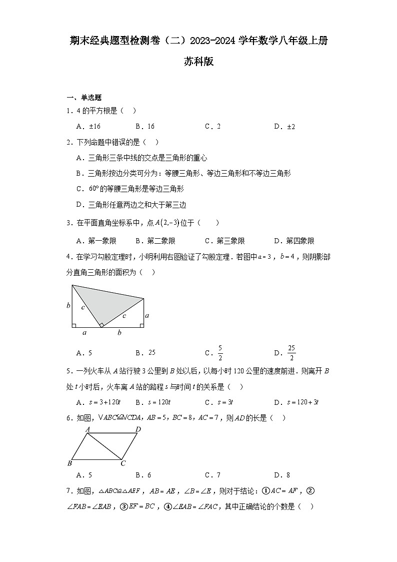 期末经典题型检测卷（二）2023-2024学年数学八年级上册苏科版01
