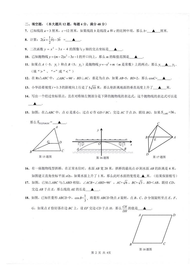 2024年上海市杨浦区中考一模数学试题第2页