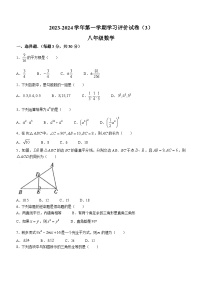 河南省周口市郸城县2023-2024学年八年级上学期12月月考数学试题