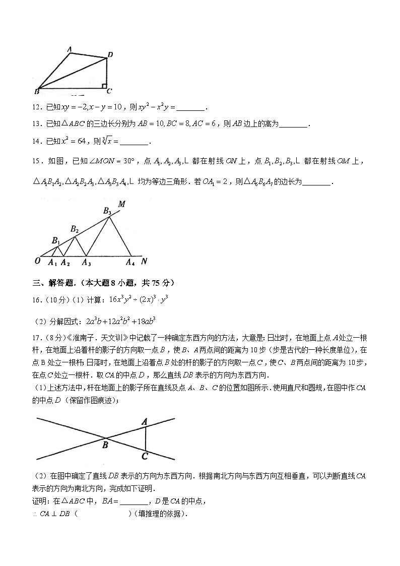 河南省周口市郸城县2023-2024学年八年级上学期12月月考数学试题03