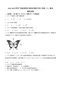 广东省深圳市龙岗区龙岭中学2022-2023学年八年级上学期期末数学试题