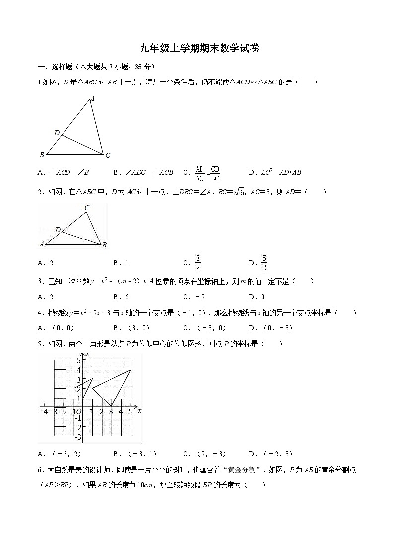 山东省聊城市阳谷县实验中学2023-2024学年九年级上学期+期末数学试卷01