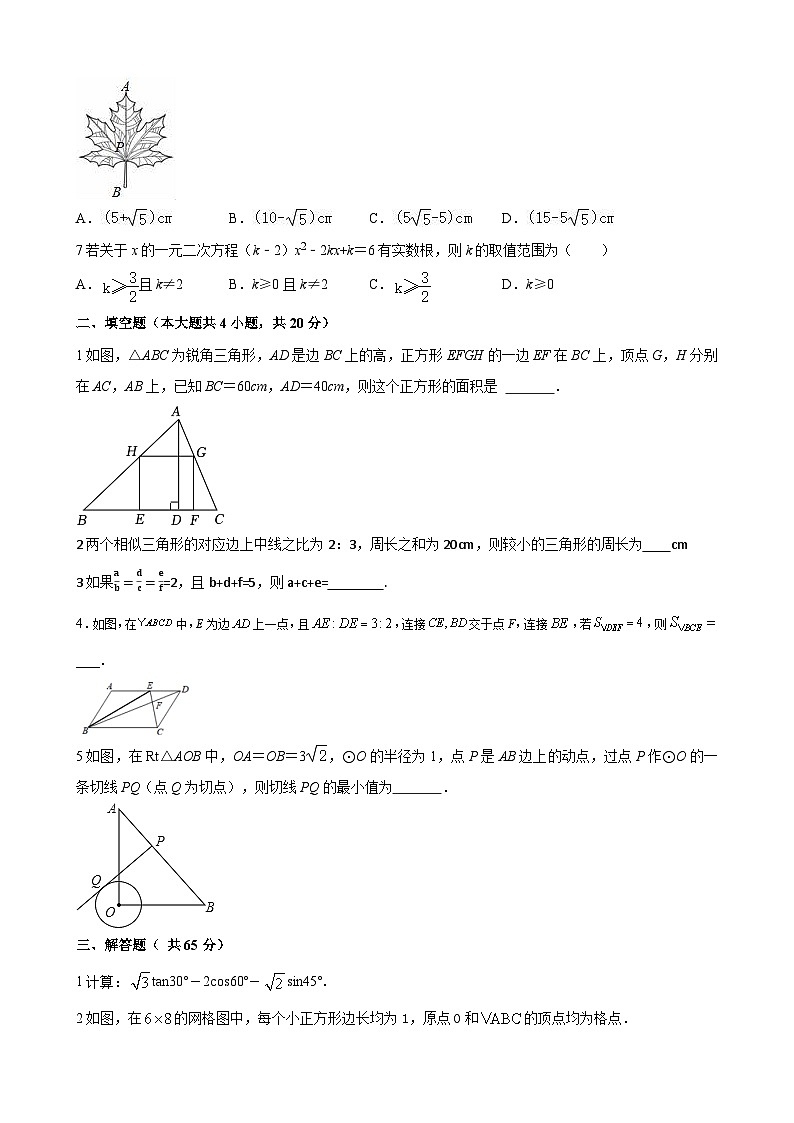 山东省聊城市阳谷县实验中学2023-2024学年九年级上学期+期末数学试卷02