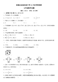 江苏省宿迁市宿豫区宿豫区实验初级中学2023-2024学年七年级上册12月月考数学试题（含解析）