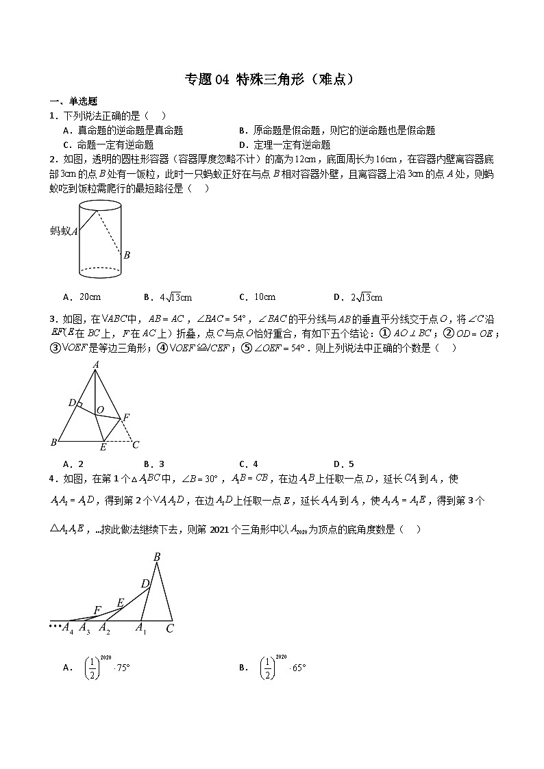 专题04 特殊三角形（难点）-2023-2024学年八年级数学上学期期中期末高分突破（浙教版）01