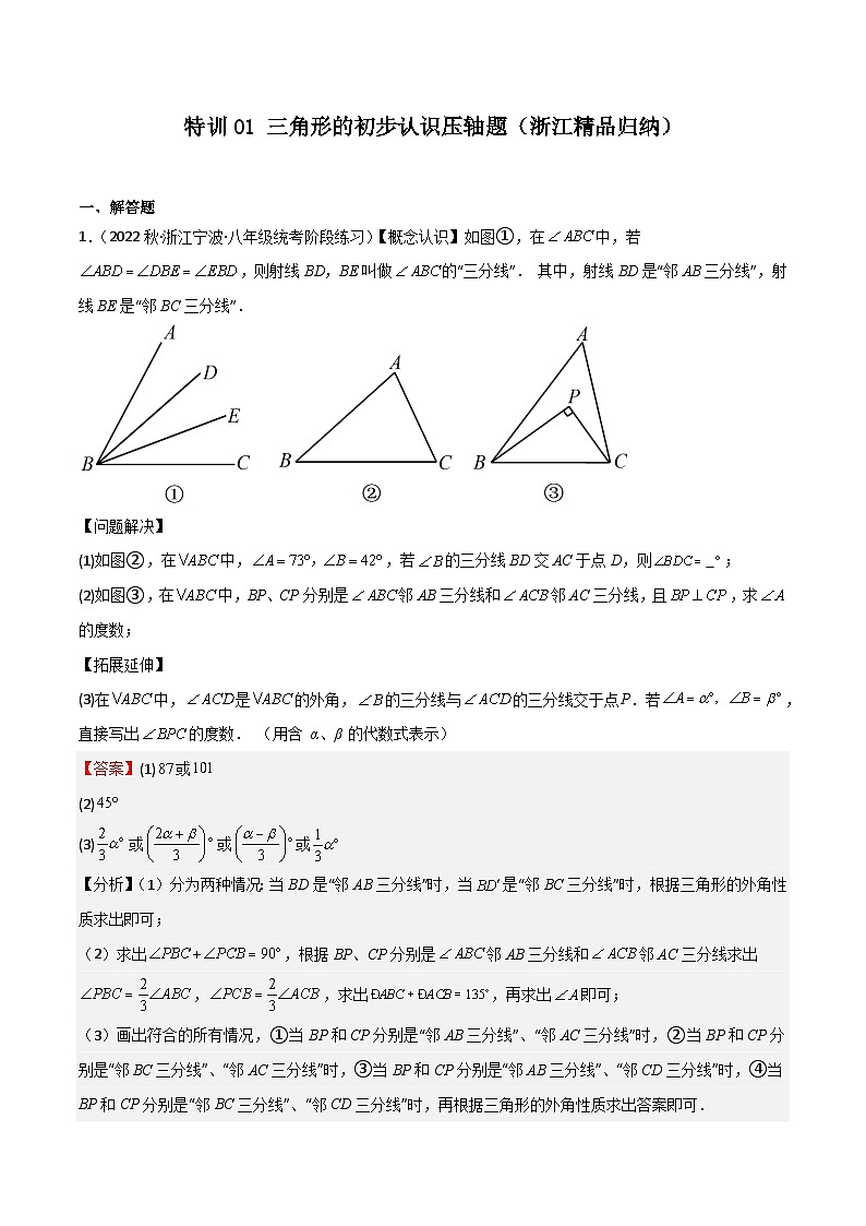特训01 三角形的初步认识压轴题（浙江精品归纳）-2023-2024学年八年级数学上学期期中期末高分突破（浙教版）01