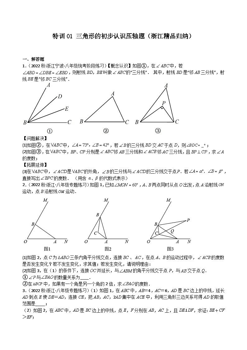 特训01 三角形的初步认识压轴题（浙江精品归纳）-2023-2024学年八年级数学上学期期中期末高分突破（浙教版）01