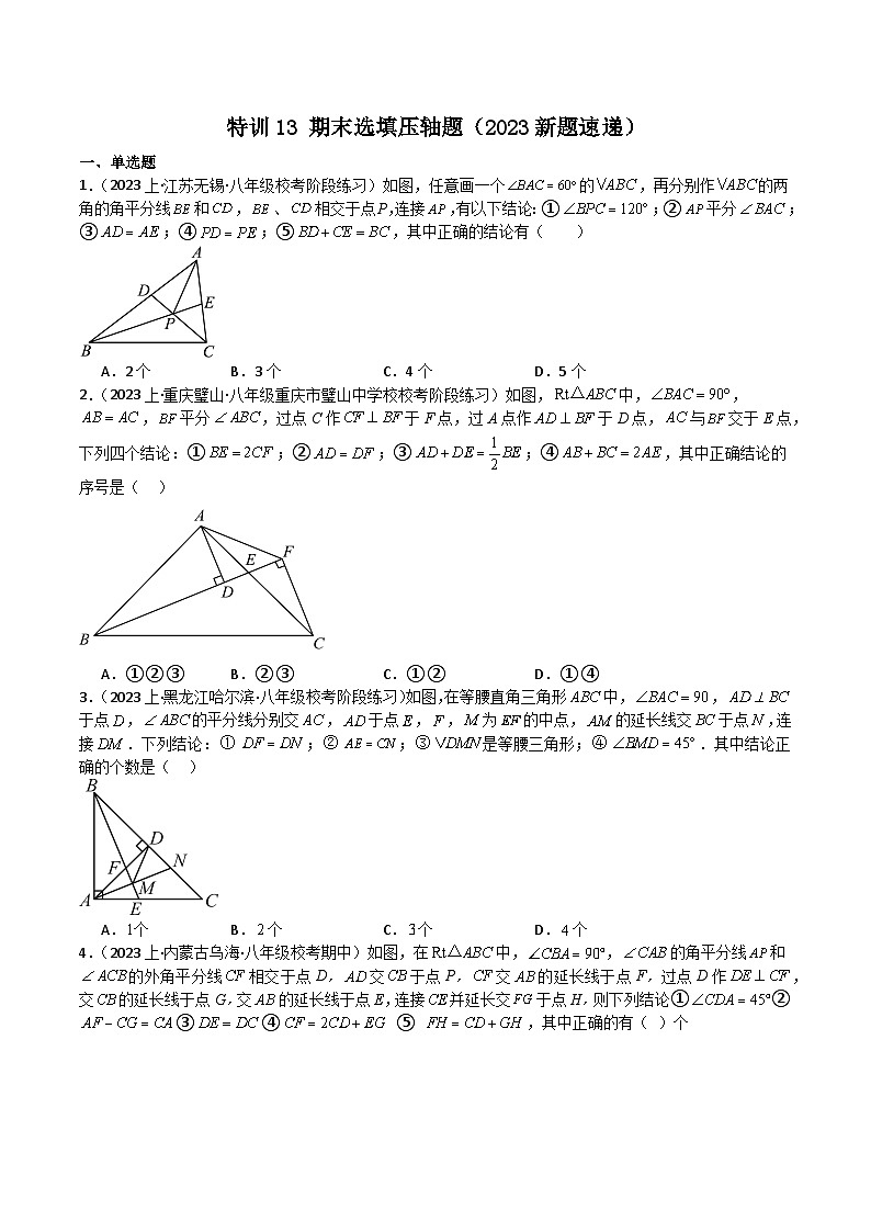 特训13 期末选填压轴题（新题速递）（原卷版）第1页