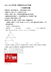 山东省聊城市冠县2022-2023学年八年级上学期期末数学试题