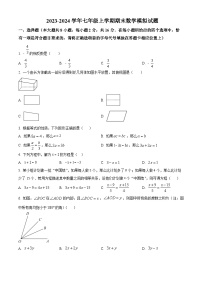 江苏省南京市玄武区2023-2024学年七年级上学期期末数学模拟试题