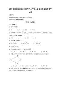 山东省滨州市滨城区2023-2024学年八年级上学期期末质量监测数学试卷