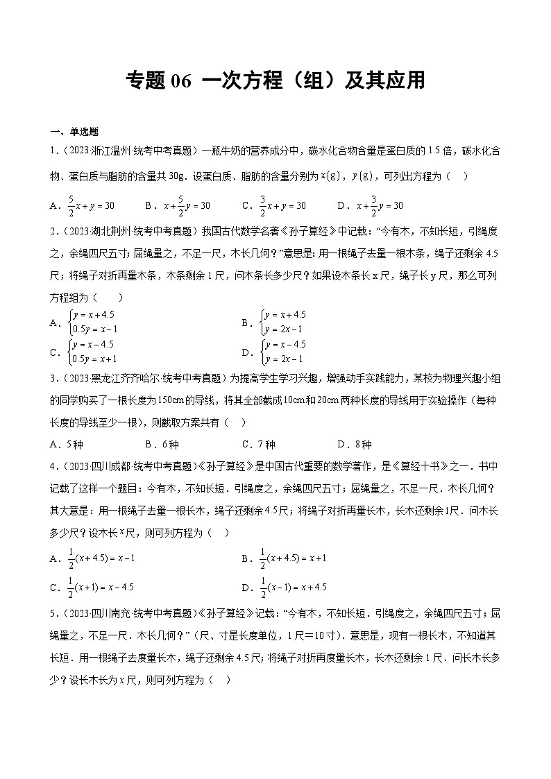 专题06 一次方程（组）及其应用（原卷版）第1页