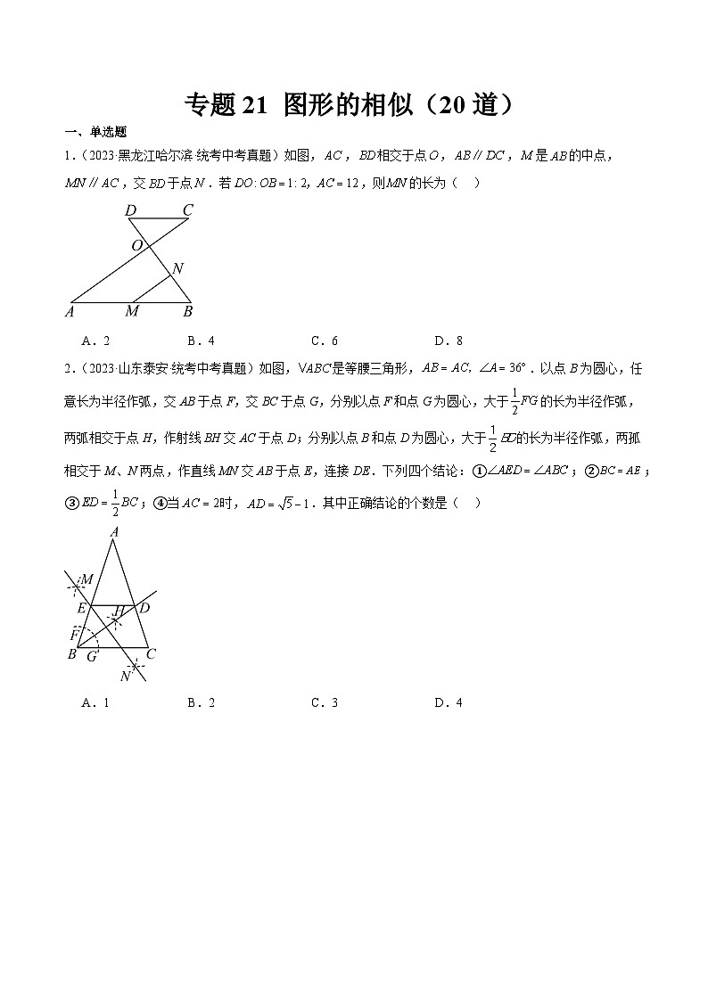 专题21 图形的相似（共20道）（原卷版）第1页