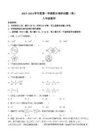 陕西省商洛市洛南县2023-2024学年八年级上学期期末数学试题(无答案)