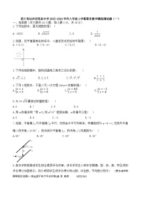 四川省达州市渠县中学2023-2024学年八年级上学期期末数学模拟测试题（一）