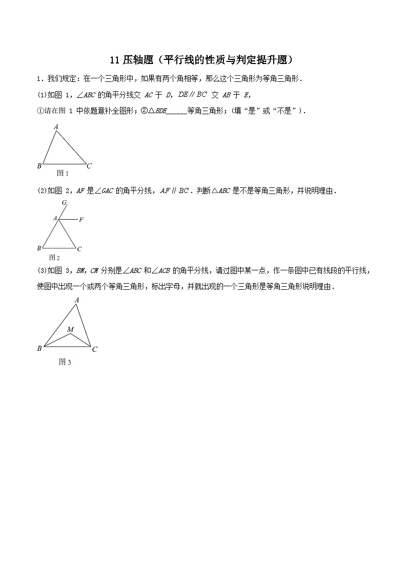 专题11 压轴题（平行线的性质与判定提升题）-2023-2024学年七年级数学上册期末选填解答压轴题必刷专题训练（华师大版）01