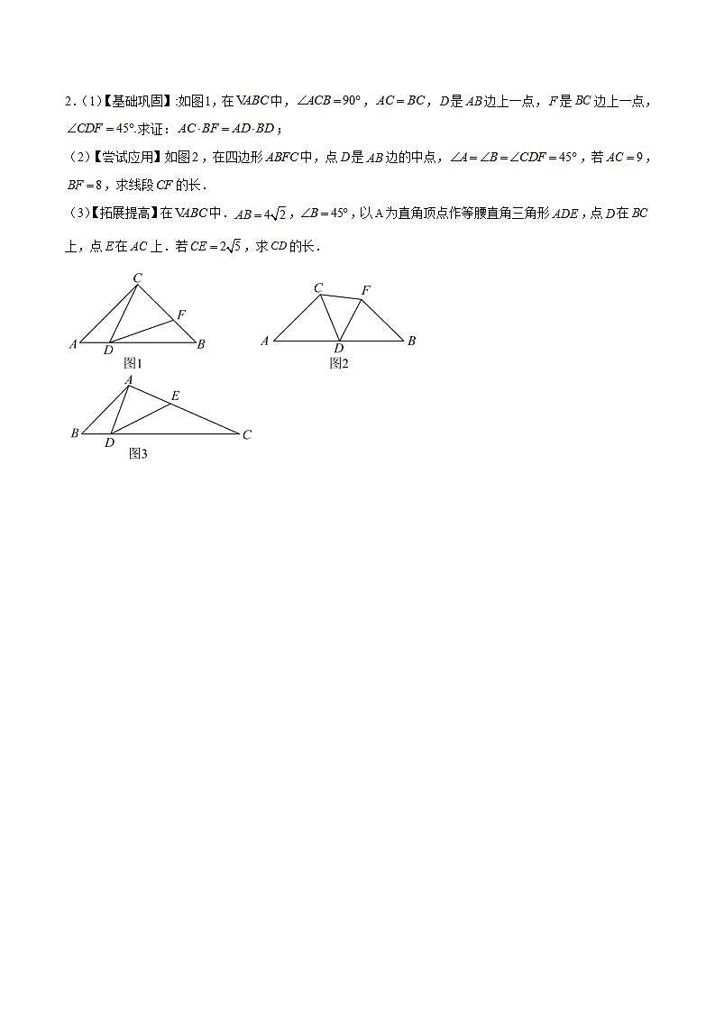 专题05 相似压轴题-2023-2024学年九年级数学上册期末选填解答压轴题必刷专题训练（华师大版）02