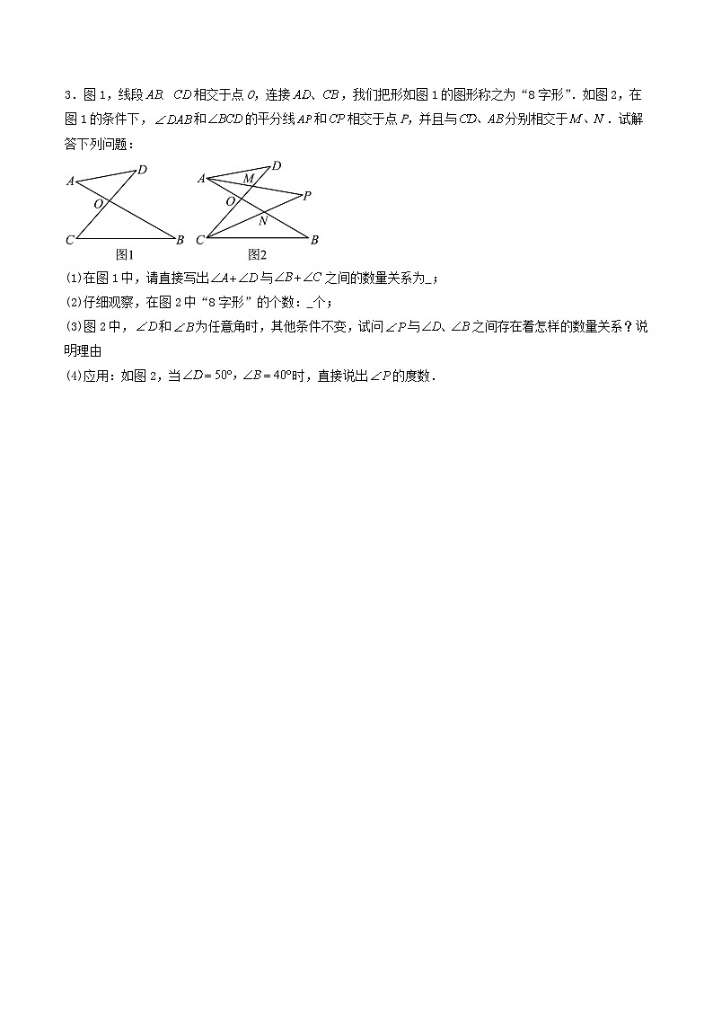必刷题型09 解答题压轴题-七年级数学下册期末解答压轴题必刷专题训练（华师大版）（原卷版）第3页