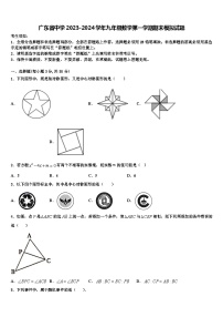 广东省中学2023-2024学年九年级数学第一学期期末模拟试题