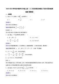 初中1.1 分式优秀综合训练题