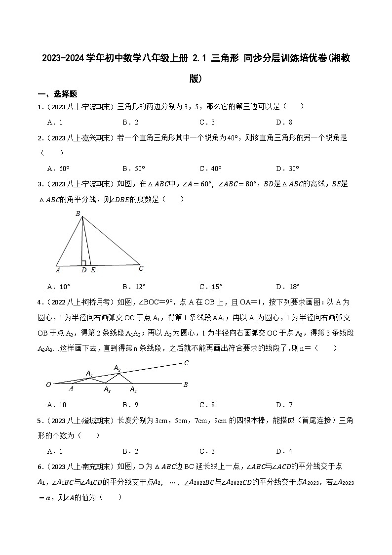 【课时练】(湘教版) 2023-2024学年初中数学八年级上册 2.1 三角形 同步分层训练培优卷01