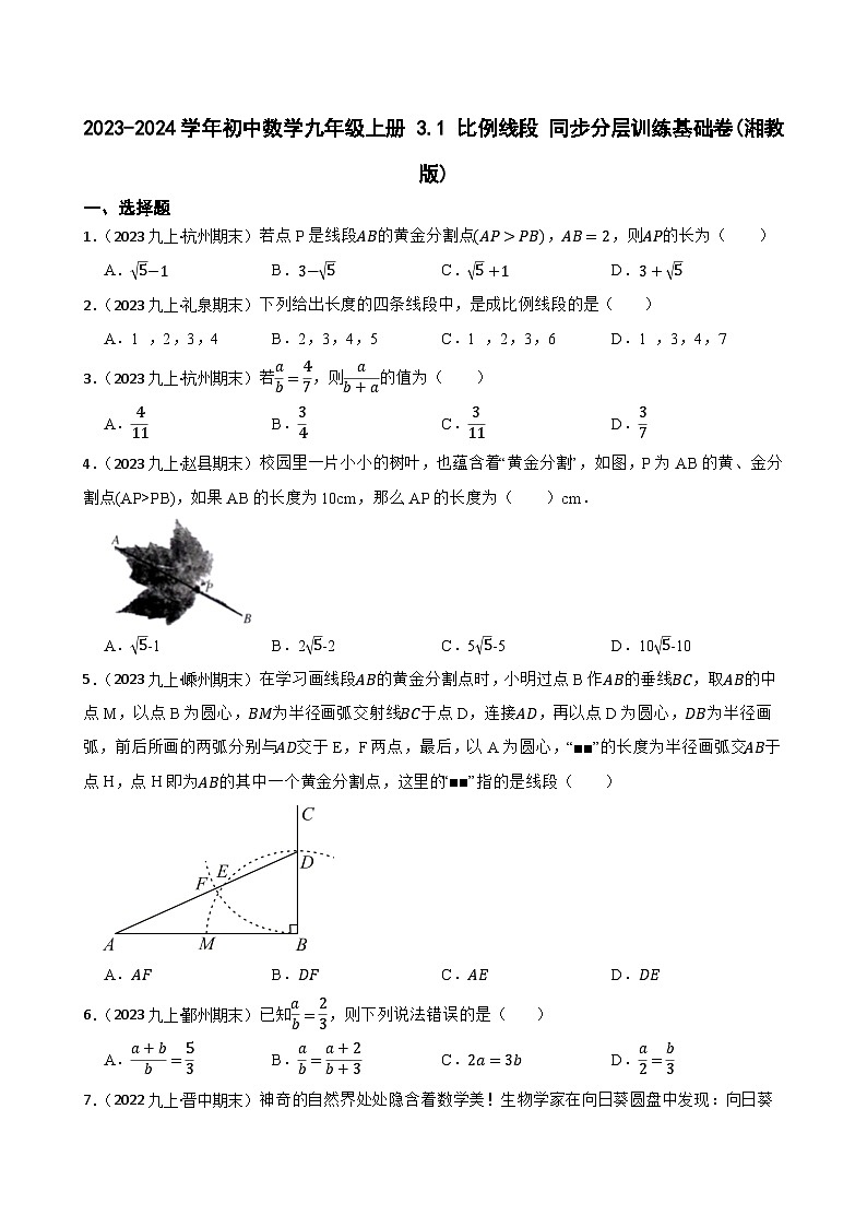 【课时练】(湘教版) 2023-2024学年初中数学九年级上册 3.1 比例线段 同步分层训练基础卷01