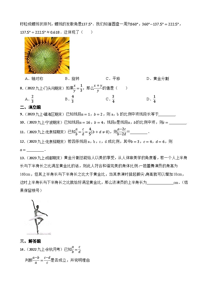 【课时练】(湘教版) 2023-2024学年初中数学九年级上册 3.1 比例线段 同步分层训练基础卷02