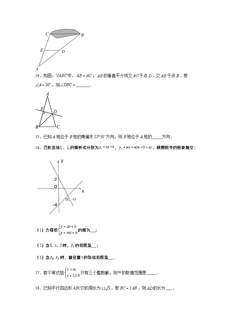 黑龙江省大庆市肇源县2023-2024学年上学期期末模拟训练八年级数学试题第3页