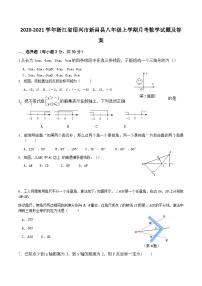 2020-2021学年浙江省绍兴市新昌县八年级上学期月考数学试题及答案