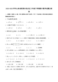 2022-2023学年山东省淄博市张店区八年级下学期期中数学试题及答案