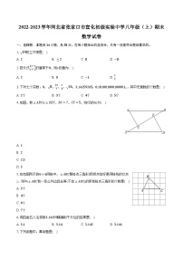 2022-2023学年河北省张家口市宣化初级实验中学八年级（上）期末数学试卷（含解析）