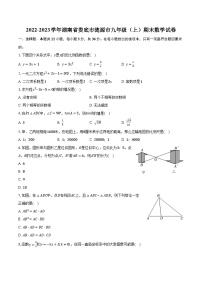 2022-2023学年湖南省娄底市涟源市九年级（上）期末数学试卷（含解析）